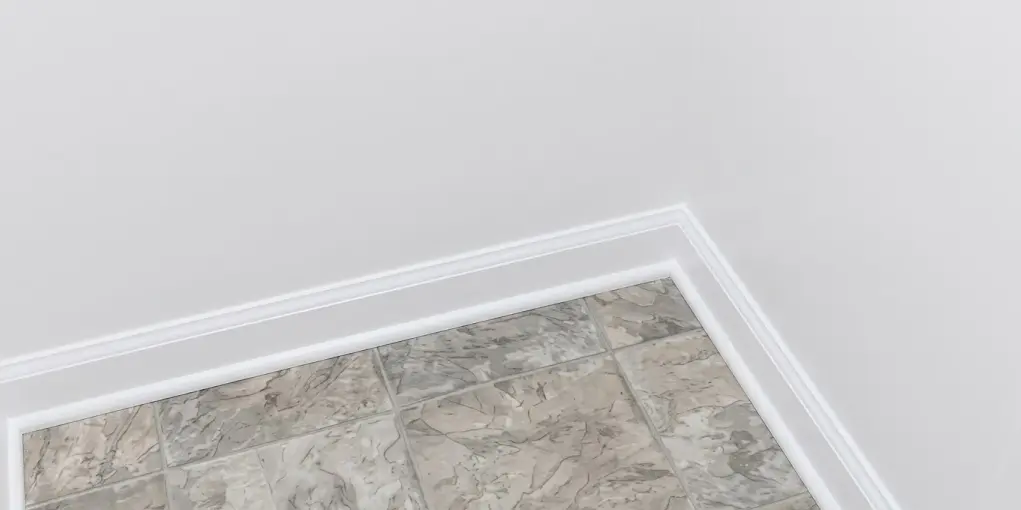 mold removal knoxville tn after treatment